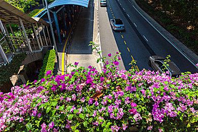 《日焱之子》宣布新增Switch版 2022年内发售